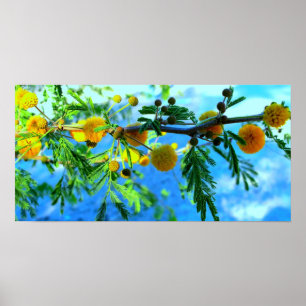 Poster Yellow Flowers on a Tree Branch