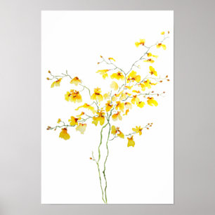 Poster yellow Oncidium Orchid watercolor