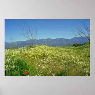 Poster yellow Spring field in the mountains of Cyprus flo