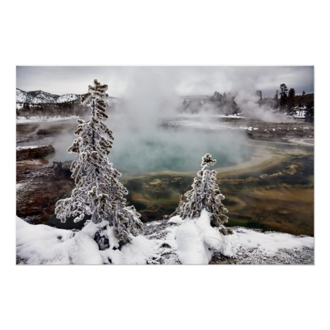 Poster Yellowstone neigeux (Devant)