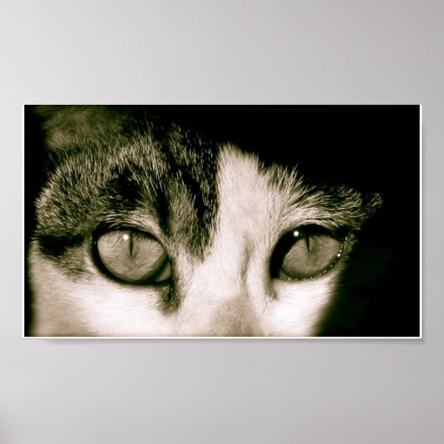 Poster Yeux (Devant)