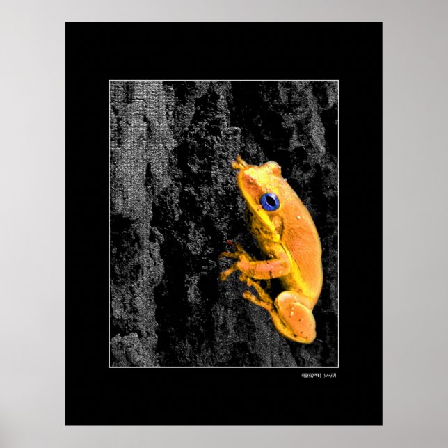 Poster Yeux bleus (Devant)