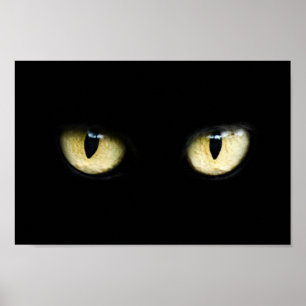 Poster Yeux de chat
