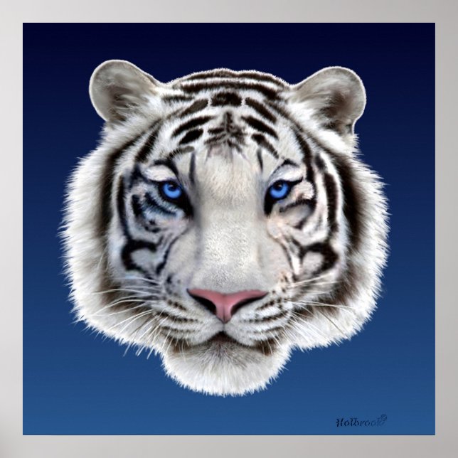 Poster Yeux du tigre (Devant)