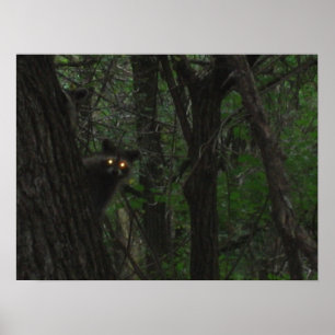 Poster Yeux nocturnes