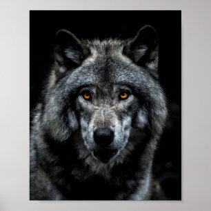 Poster Yeux orange loup animal sauvage nature