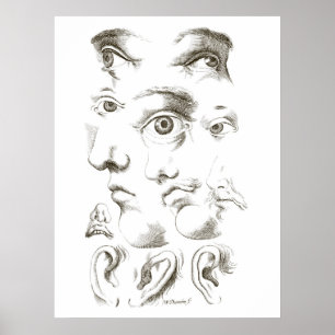 Poster Yeux, Profil, Dessin des oreilles, 17ème siècle, v