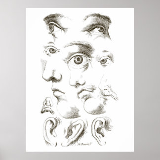 Poster Yeux, Profil, Dessin des oreilles, 17ème siècle, v