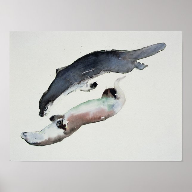 Poster Yin Yang (Devant)