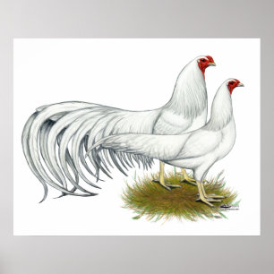 Poster Yokohama : Paire blanche