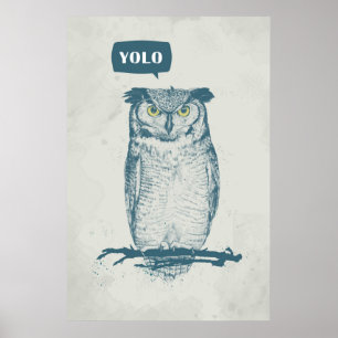 POSTER YOLO