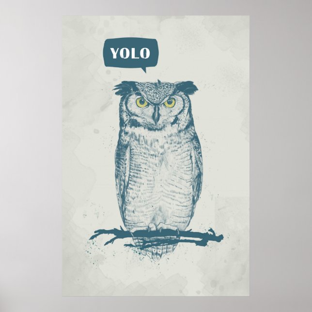 POSTER YOLO (Devant)