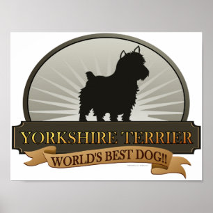 Poster Yorkshire Terrier