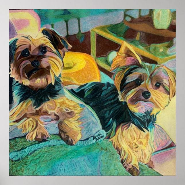 Poster Yorkshire Terrier (Devant)