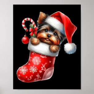 Poster Yorkshire Terrier en Sock Noël Noël Noël Noël Noël
