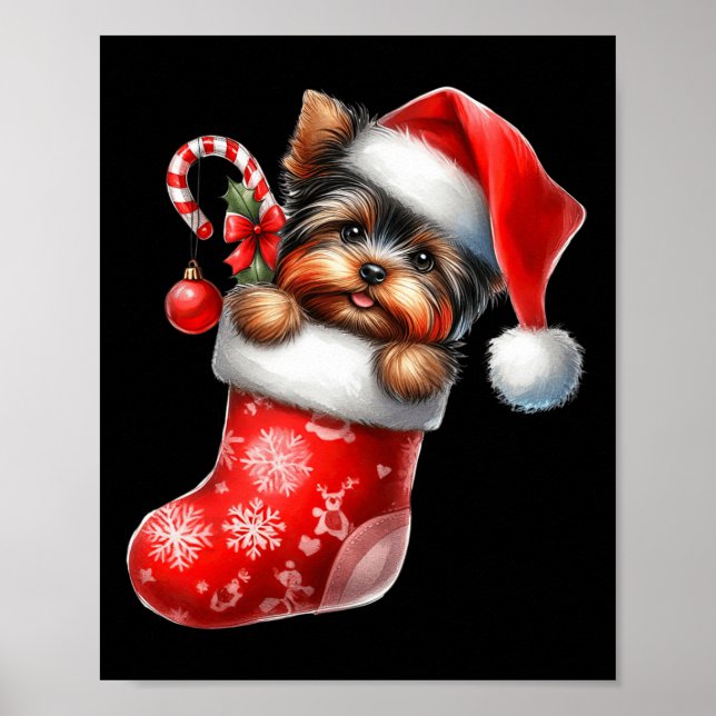 Poster Yorkshire Terrier en Sock Noël Noël Noël Noël Noël (Devant)