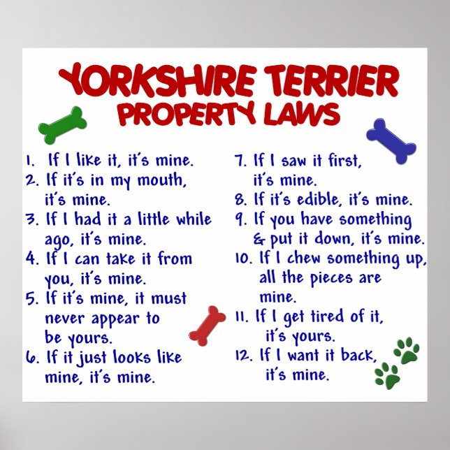 POSTER YORKSHIRE TERRIER PL2 (Devant)