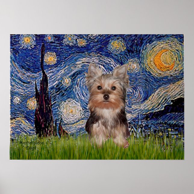 Poster Yorkshire Terrier Puppy - Nuit étoilée (Devant)