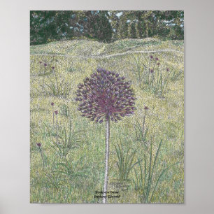 Poster Yorktown Onion