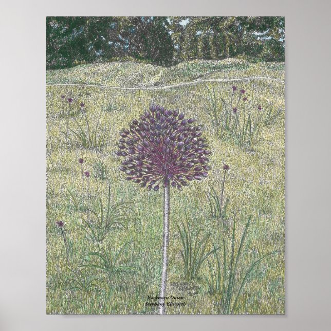 Poster Yorktown Onion (Devant)