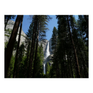 Poster Yosemite Falls et Woods Paysage Photographie