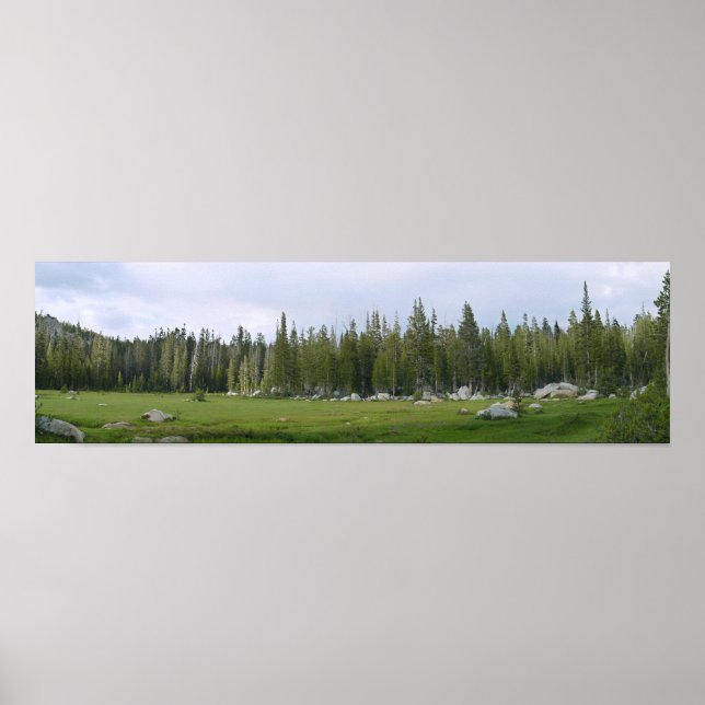Poster Yosemite Panorama (Devant)