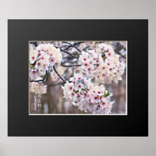 Poster Yoshino Cherry