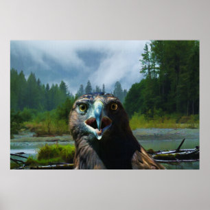 Poster Young Bald Eagle et Misty Alaskan River