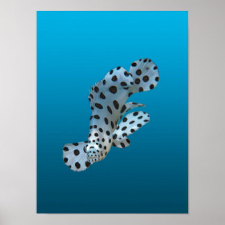 Poster Young Grouper - Gradient blue background | 