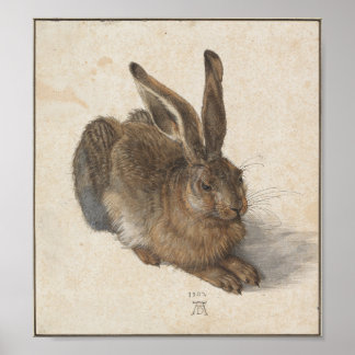 Poster Young Hare par Albrecht Durer