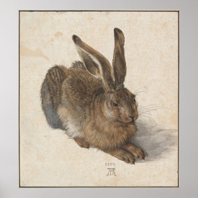 Poster Young Hare par Albrecht Durer (Devant)