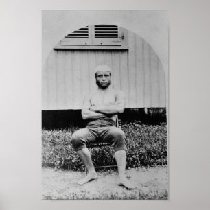 Poster Young Teddy Roosevelt Shireless - 1879