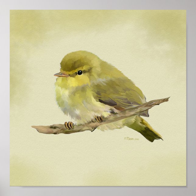 Poster Young Wood Warbler (Devant)
