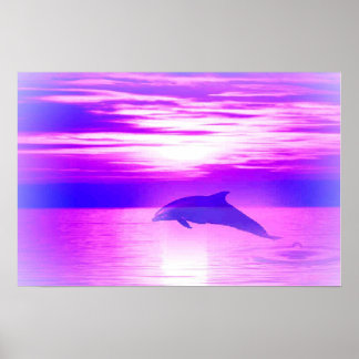 Poster Ysundolphin