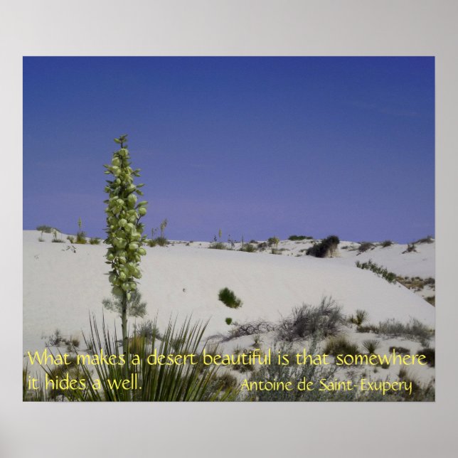 Poster Yucca (Devant)
