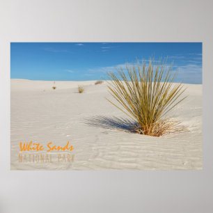 Poster Yucca à White Sands