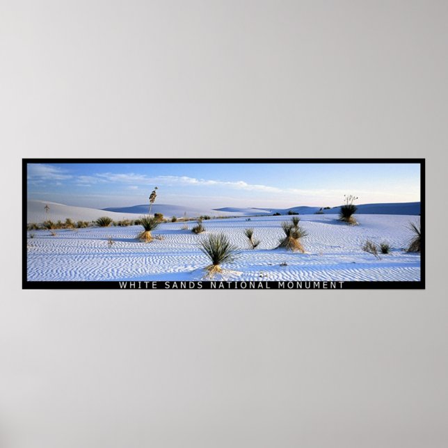 Poster Yucca Panorama (Devant)