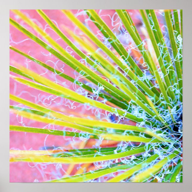 Poster Yucca psychédélique (Devant)