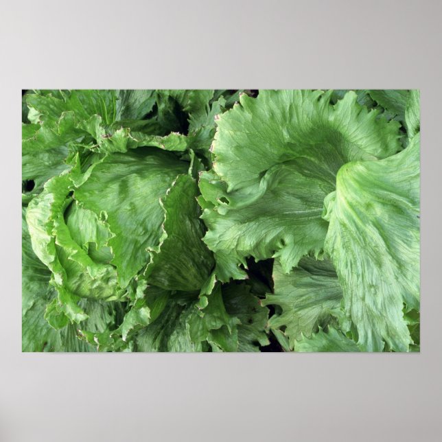 Poster Yummy Iceberg laitue (Devant)