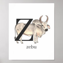 Poster Z pour Zebu