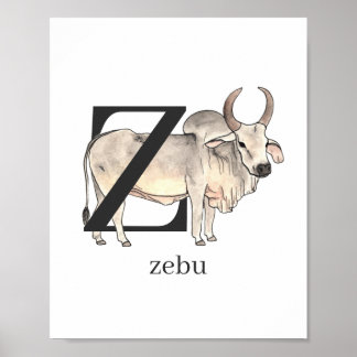 Poster Z pour Zebu