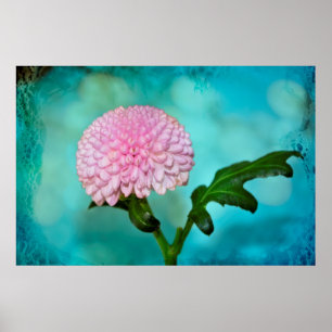 Poster Zauberhafte Blüte