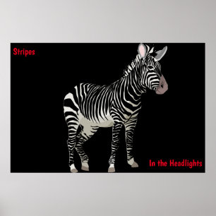 Poster Zebra