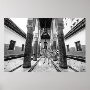 Poster Zebra Black White Building Landscape