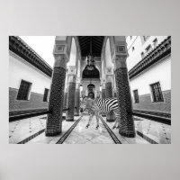 Zebra Black White Building Paysage