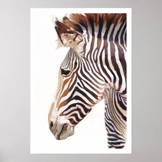 Poster "Zebra Bust" Zebra Wildlife Watercolor (Devant)