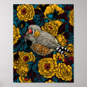 Poster Zebra finch et buisson rose