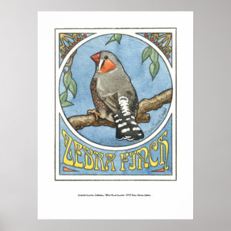 Poster Zebra Finch Nouveau