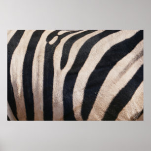 Poster Zebra Stripes noir et blanc