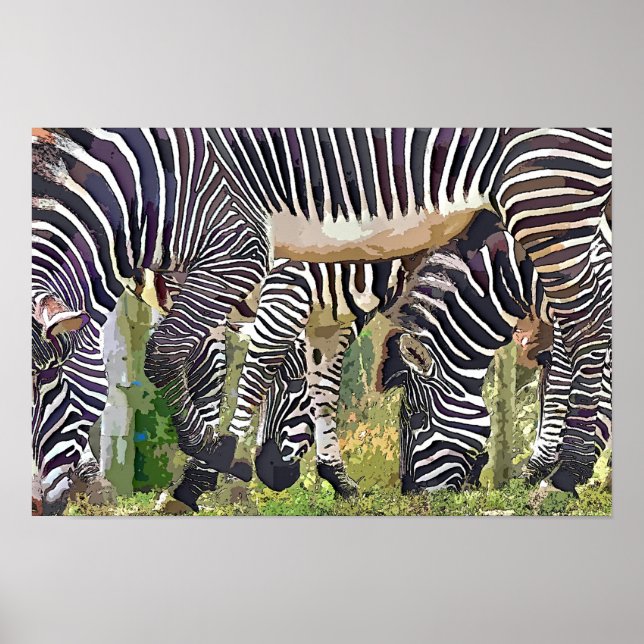 POSTER ZEBRAS (Devant)